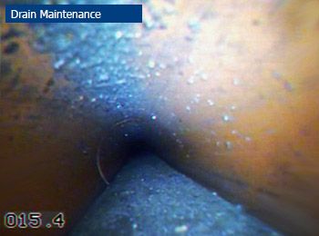 Drain Maintenance & Cleaning